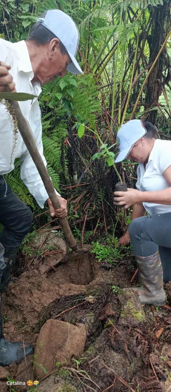 Conservacion y restauracion 11